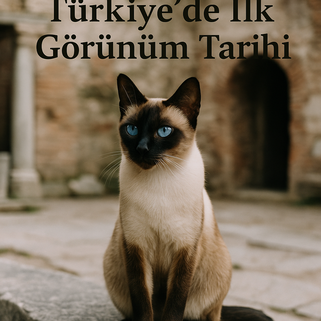 Siyam Kedileri: Türkiye’de İlk Görünüm Tarihi